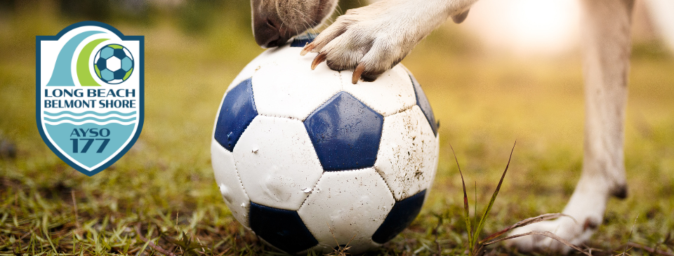 Reminder - no pets allowed on fields!